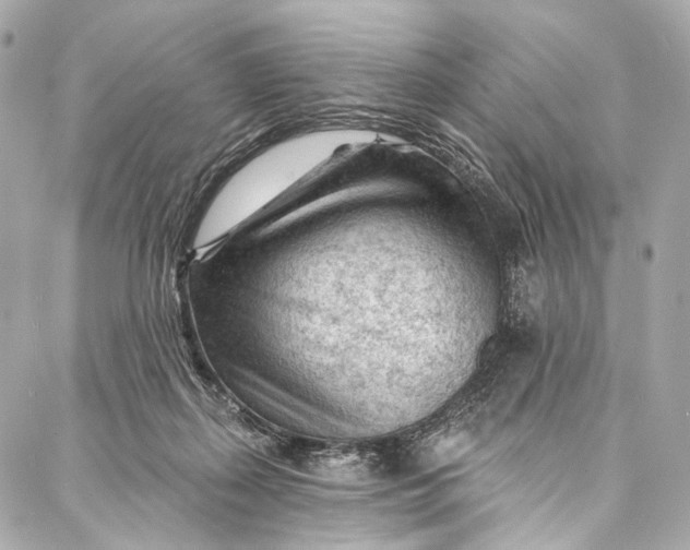 X0000087030267200705071542