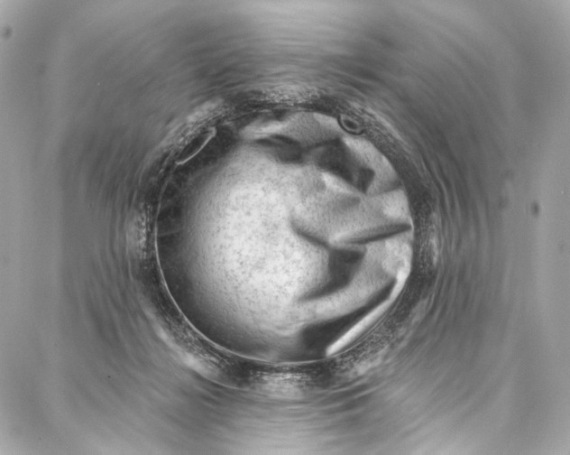 X0000087030268200705071542