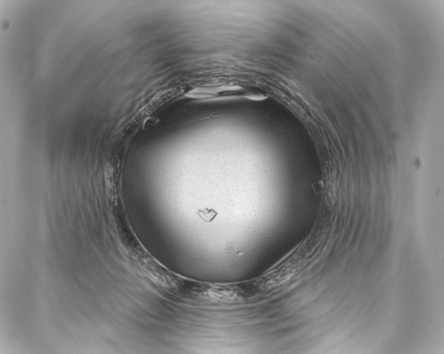 X0000087030270200705071542