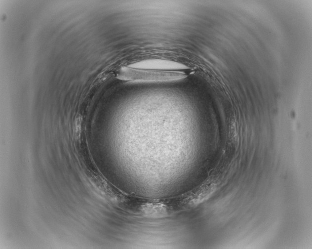 X0000087030271200705071542