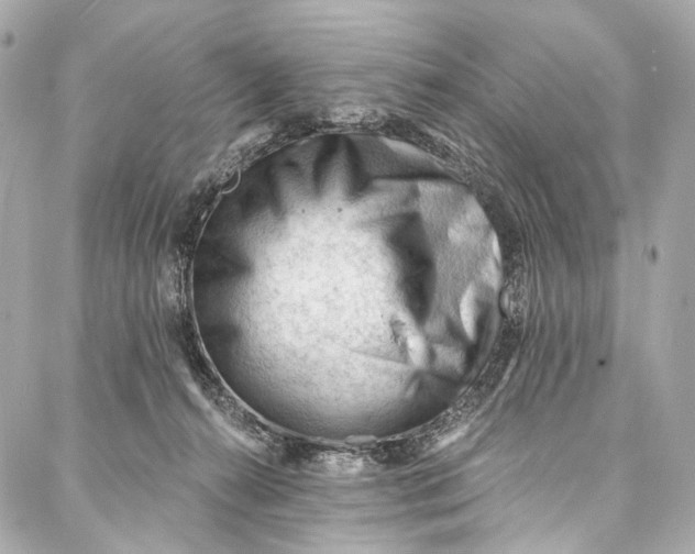 X0000087030272200705071542