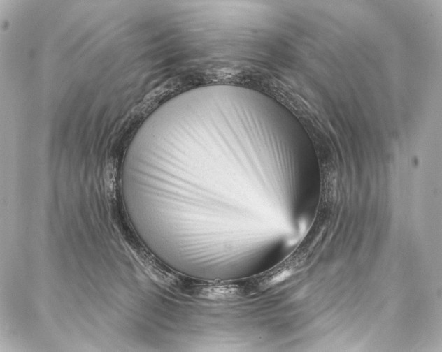 X0000087030274200705071542