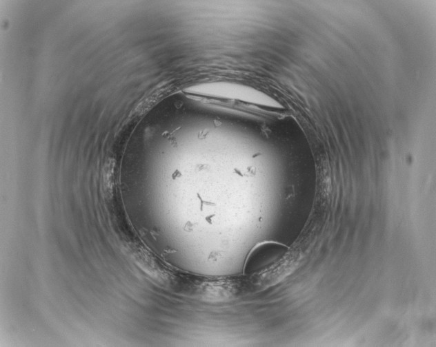 X0000087030275200705071542