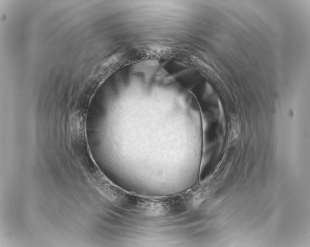 X0000087030276200705071542