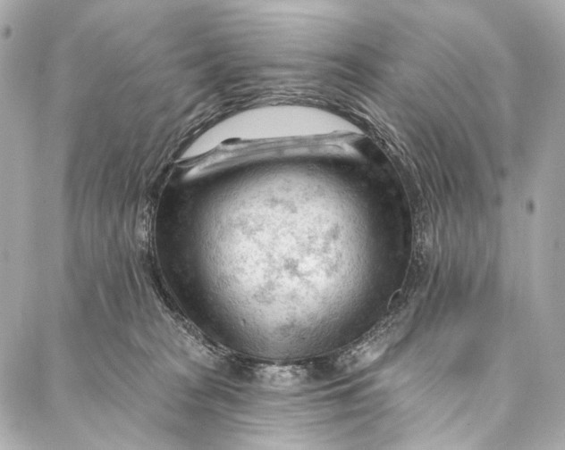 X0000087030277200705071542