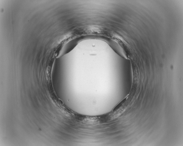 X0000087030280200705071542