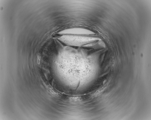 X0000087030281200705071542