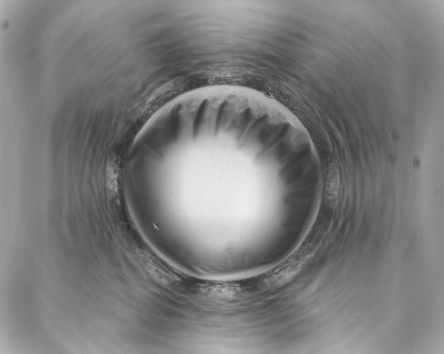 X0000087030282200705071542