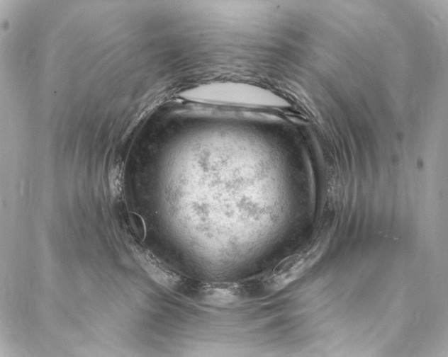 X0000087030285200705071542