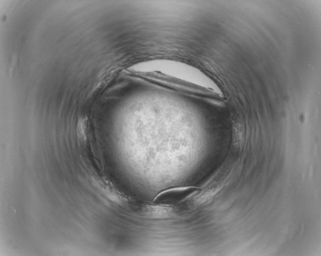 X0000087030286200705071542