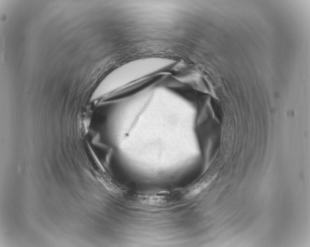 X0000087030288200705071542