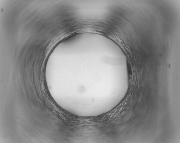 X0000087030289200705071541