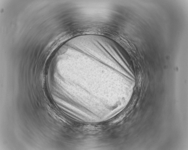 X0000087030290200705071541