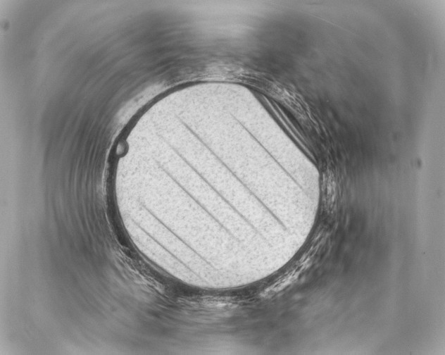 X0000087030292200705071541