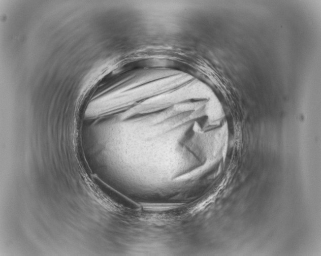 X0000087030293200705071541