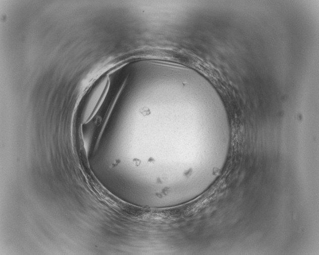 X0000087030294200705071541