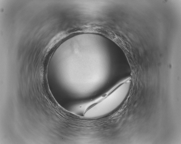 X0000087030295200705071541