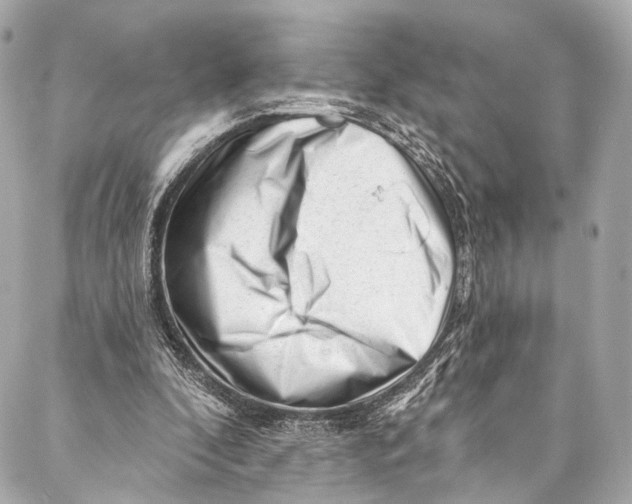 X0000087030296200705071541