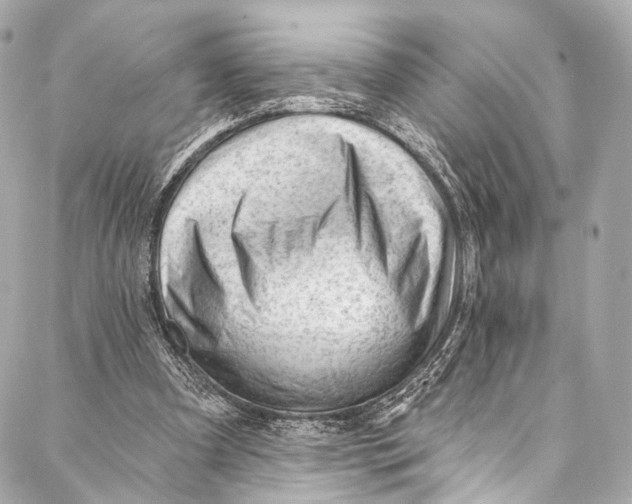 X0000087030297200705071541