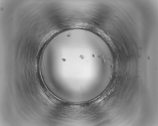 X0000087030298200705071541