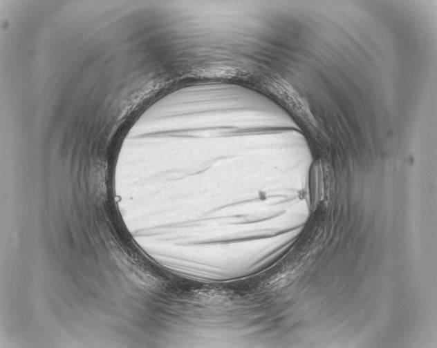 X0000087030300200705071541