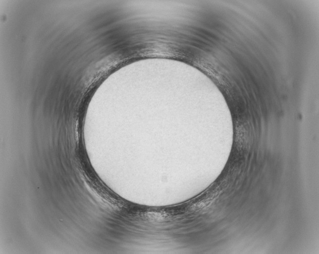 X0000087030302200705071541