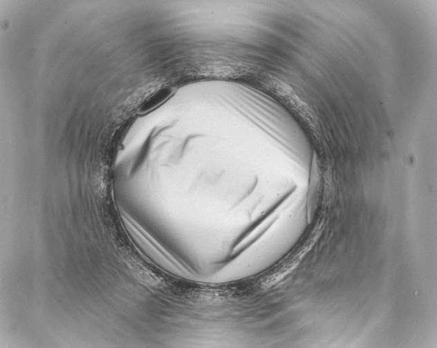 X0000087030305200705071541