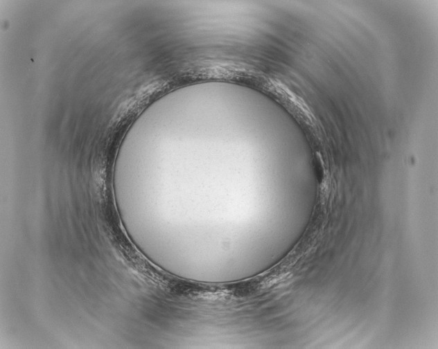 X0000087030306200705071541