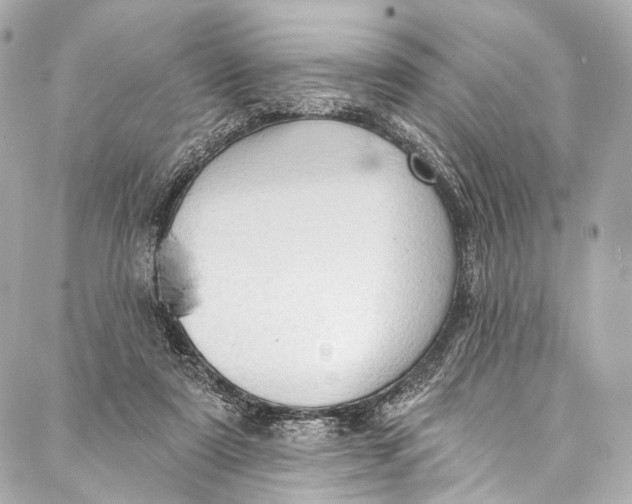 X0000087030307200705071541