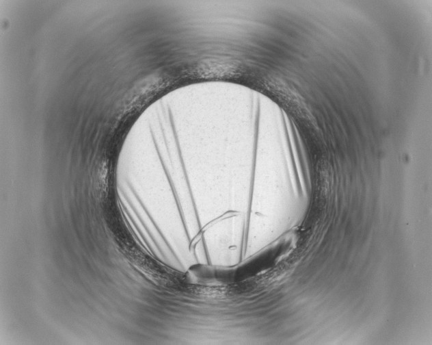 X0000087030308200705071541