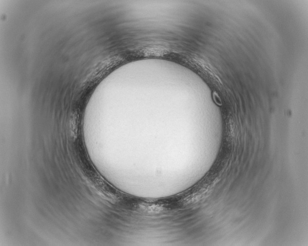 X0000087030311200705071541