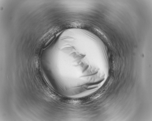 X0000087030313200705071541