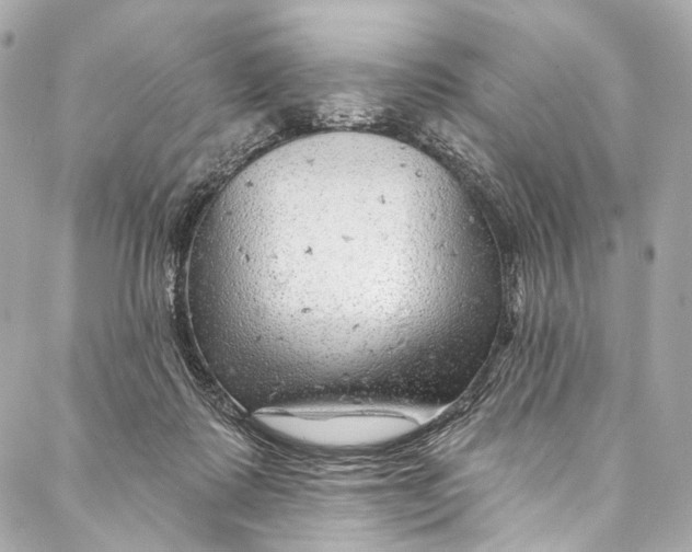 X0000087030315200705071541