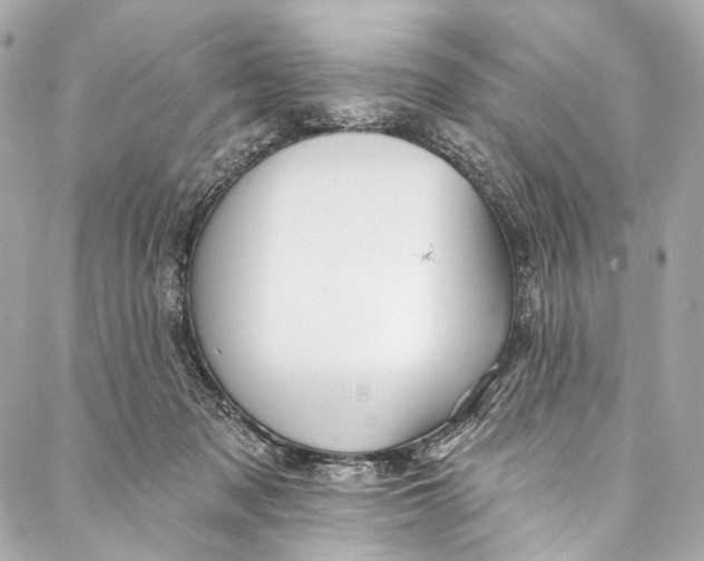 X0000087030317200705071541