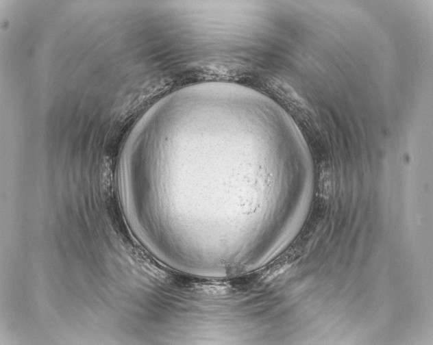 X0000087030318200705071541