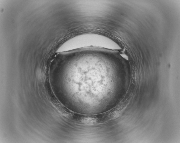 X0000087030319200705071541