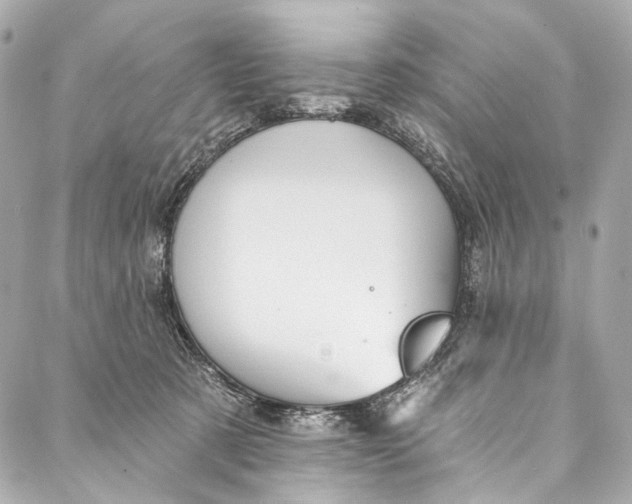 X0000087030321200705071541