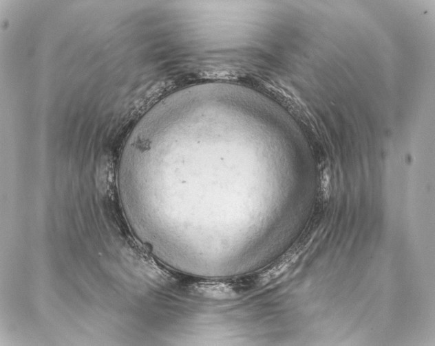 X0000087030322200705071541