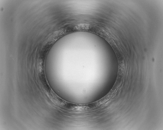 X0000087030323200705071541