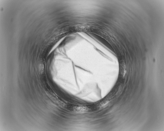 X0000087030324200705071541