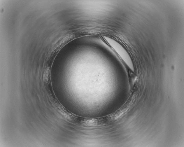 X0000087030325200705071541