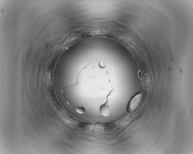 X0000087030327200705071541