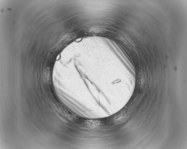 X0000087030328200705071541