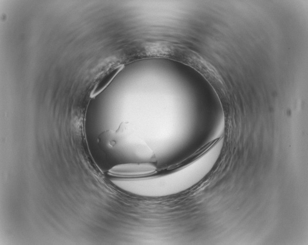 X0000087030329200705071541