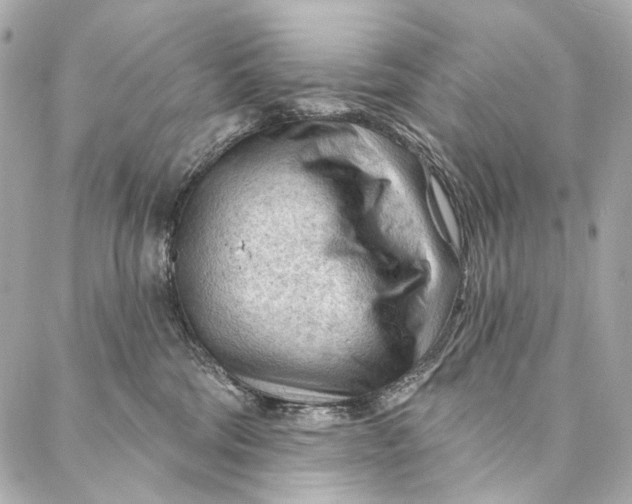 X0000087030330200705071541