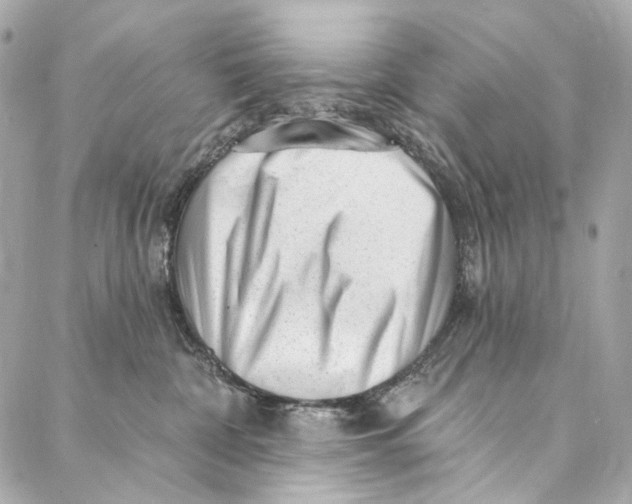 X0000087030332200705071541