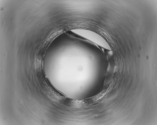 X0000087030333200705071541