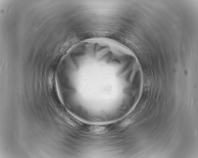 X0000087030334200705071541