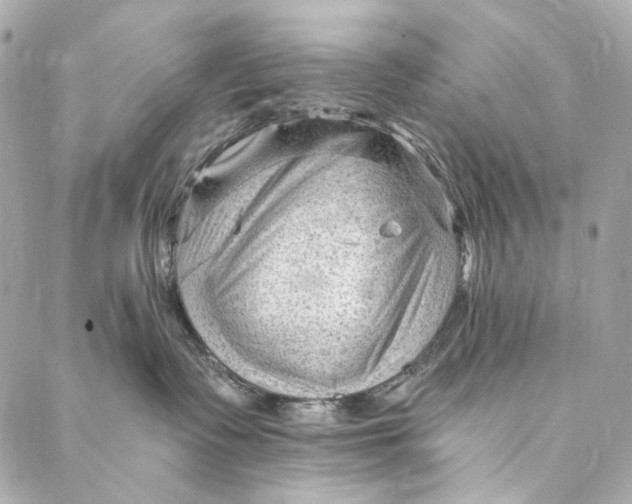 X0000087030335200705071541