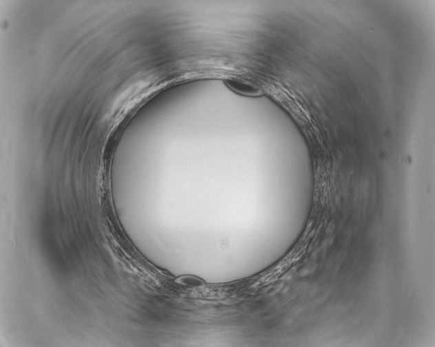 X0000087030338200705071540